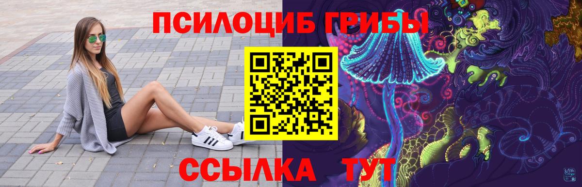 Луга  Галлюциногенные грибы ЛСД  Вход с VPN 